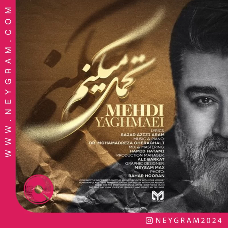 تحمل میکنم