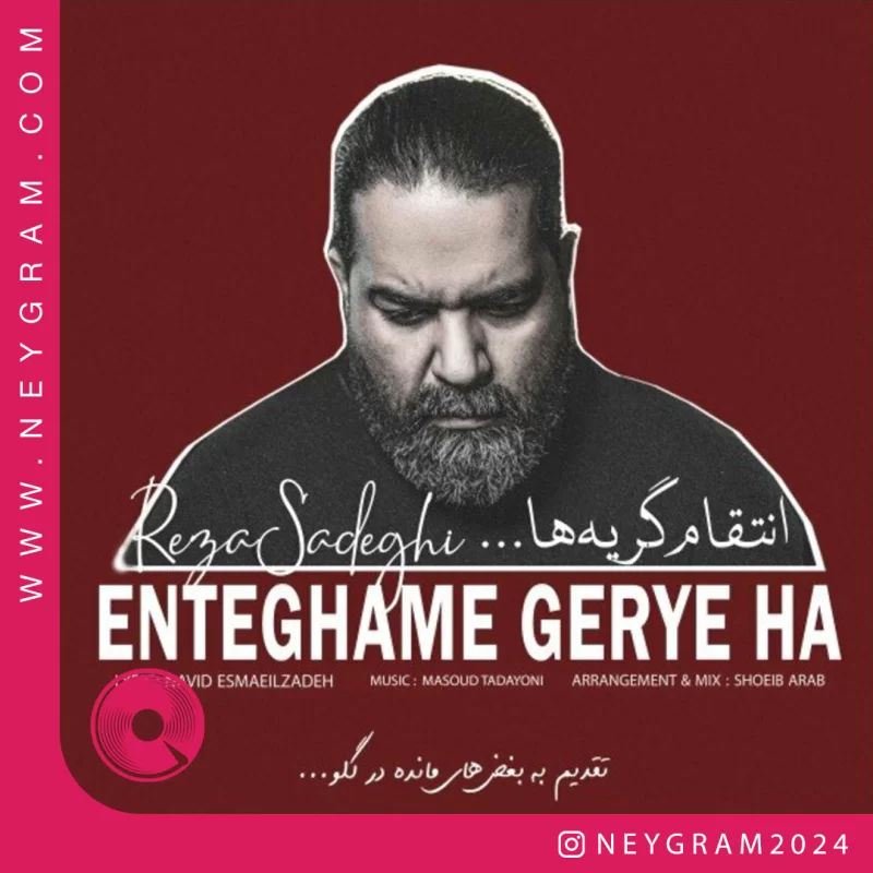 انتقام گریه ها