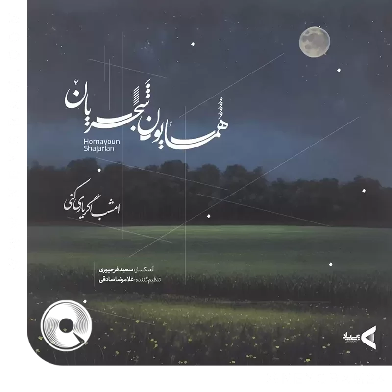 امشب اگر یاری کنی
