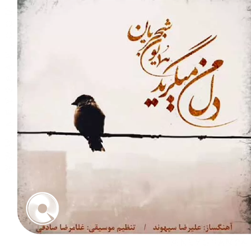 دل من میگرید