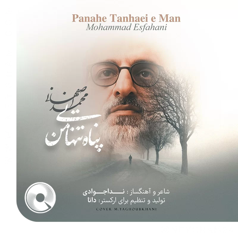 Panahe-Tanhaeie-Man