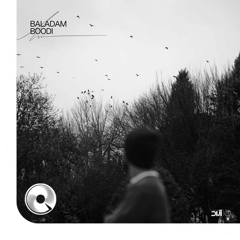 Baladam-Boodi