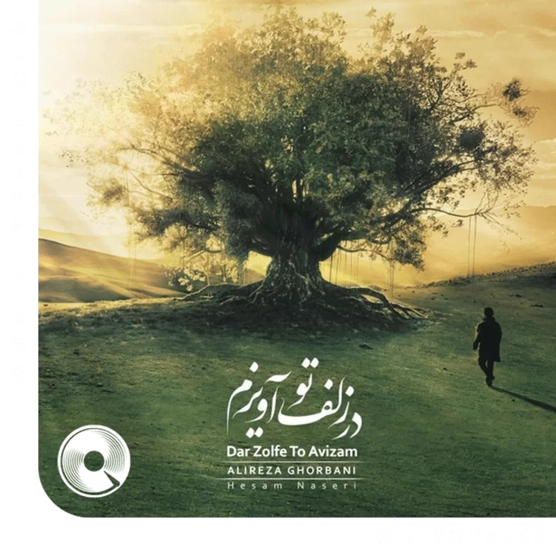 در زلف تو آویزم