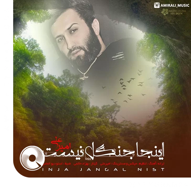 اینجا جنگل نیست