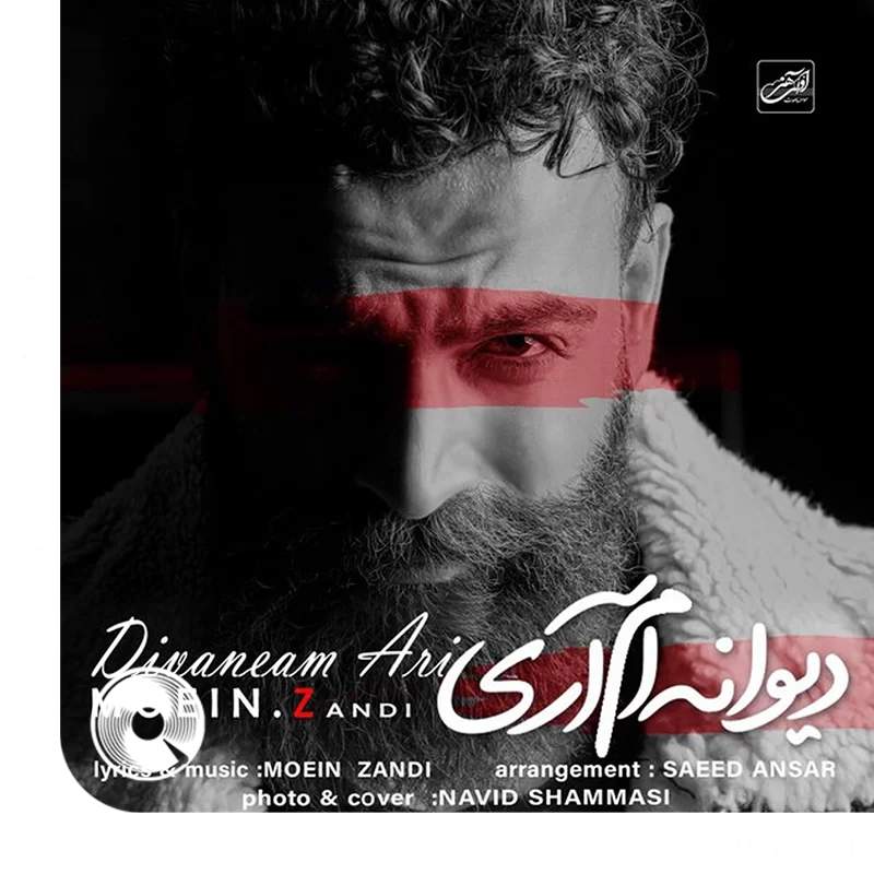 دیوانه ام آری