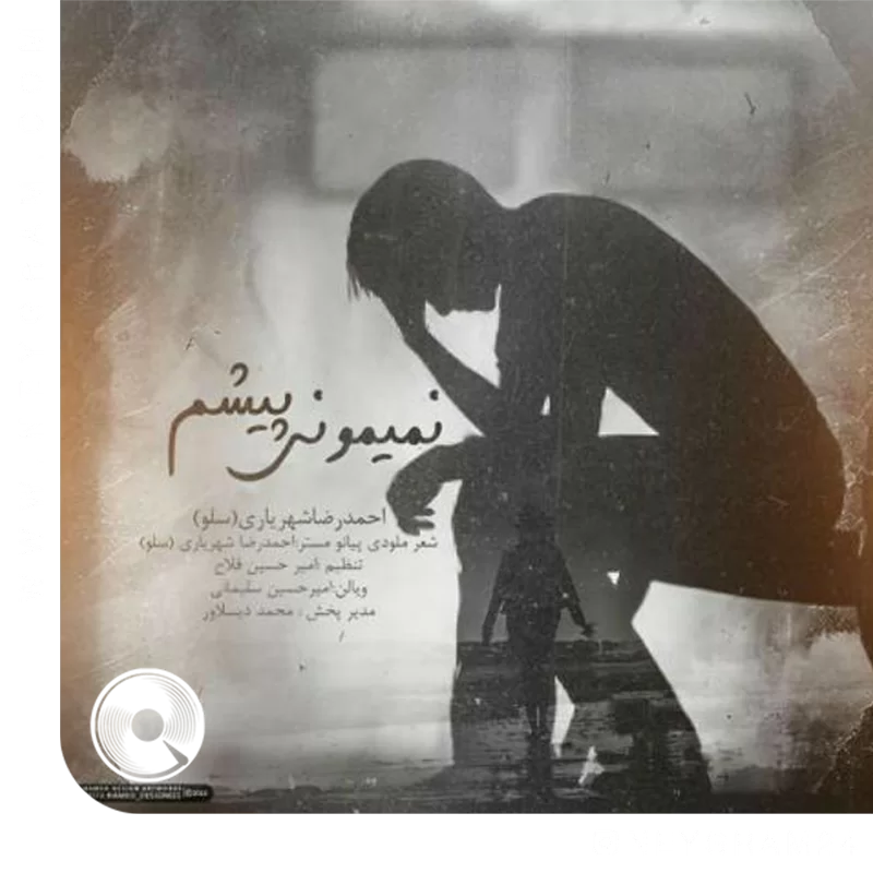 نمیمونی پیشم