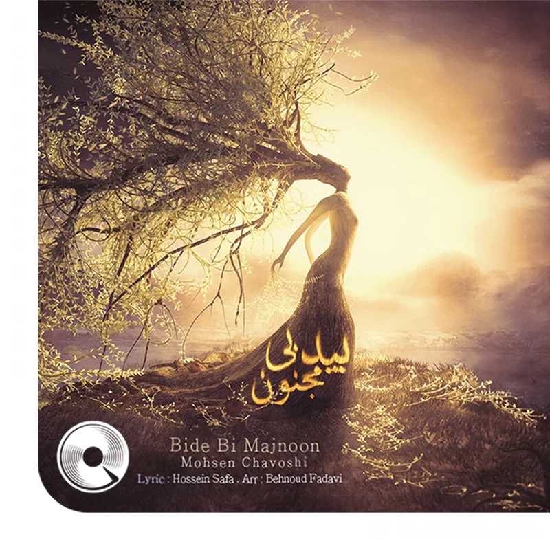 بید بی مجنون