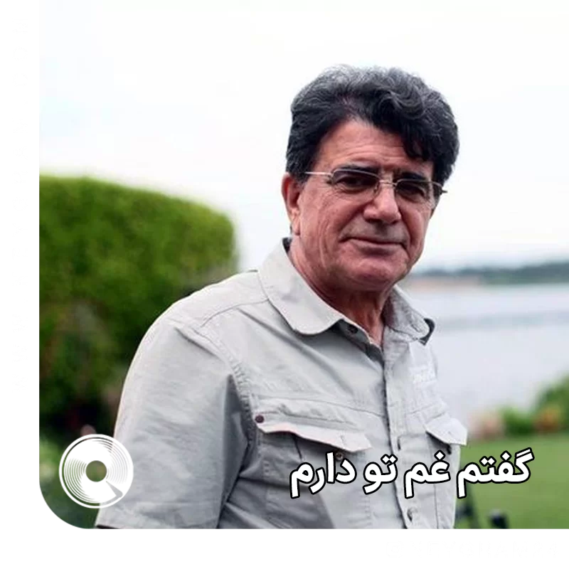 گفتم غم تو دارم