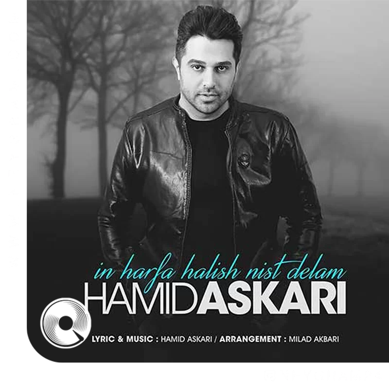 این حرفا حالیش نیست دلم