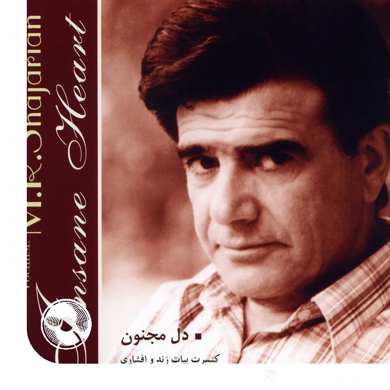 رنگ بیات ترک