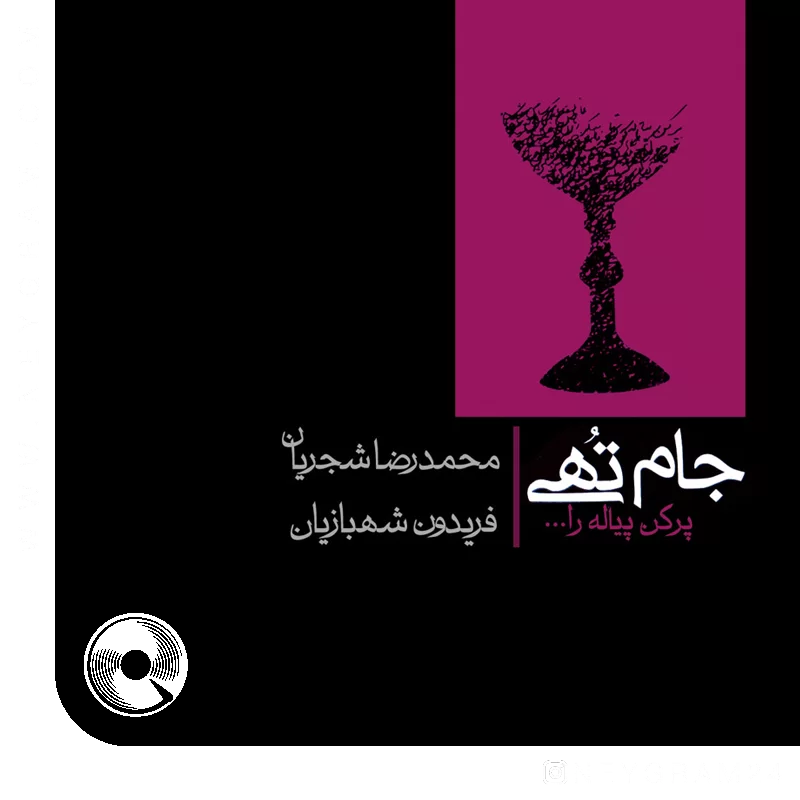  در کوچه شب