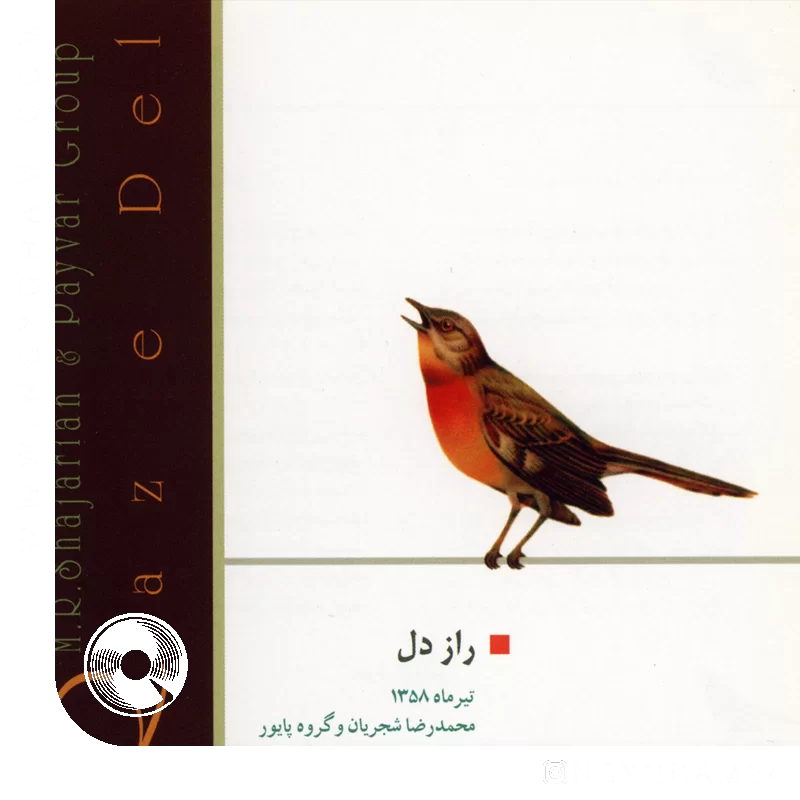 تصنیف از خون جوانان