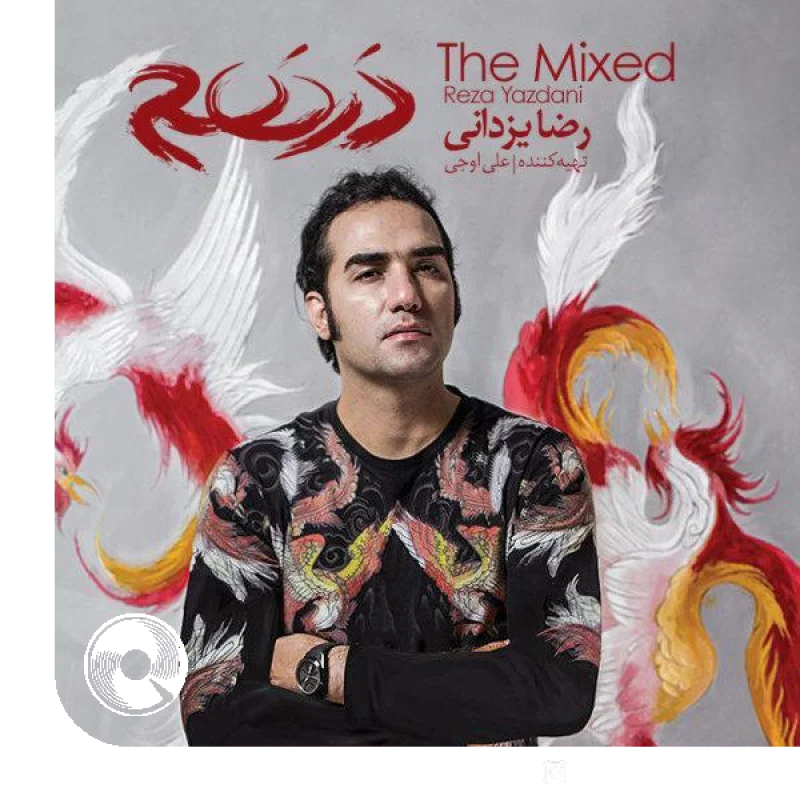 ای کاش عشق را زبان سخن بود