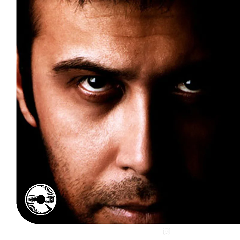 نخل های بی سر 