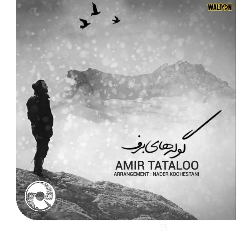 گوله های برف