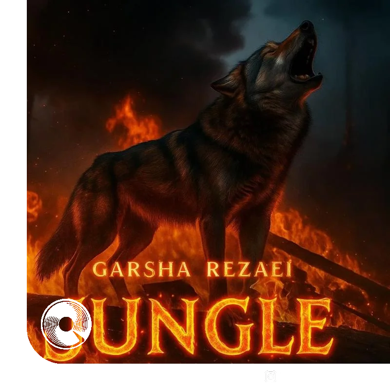 جنگل + بیکلام