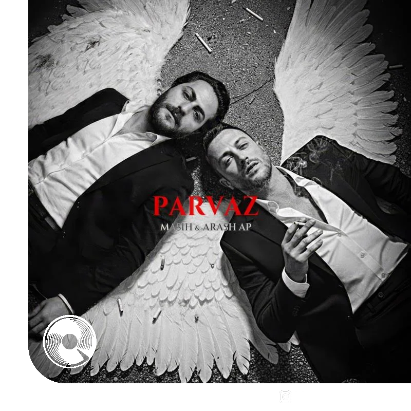 پرواز + بیکلام