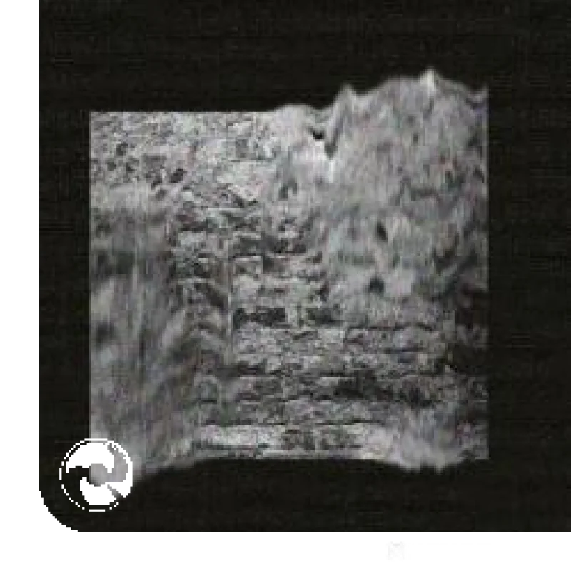 با من قدم بزن