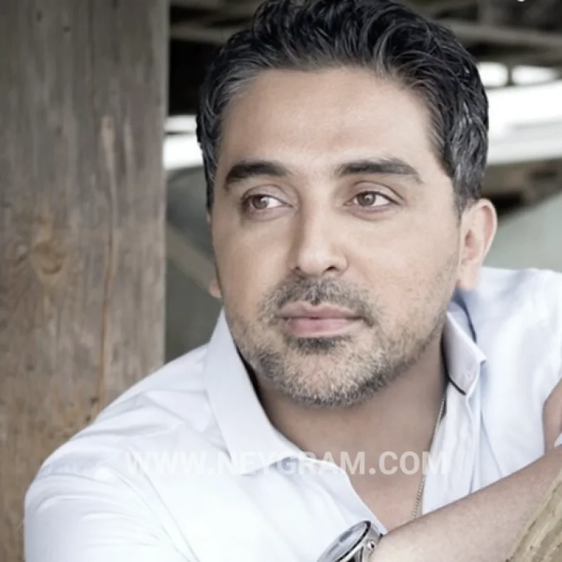 پویا + بیکلام