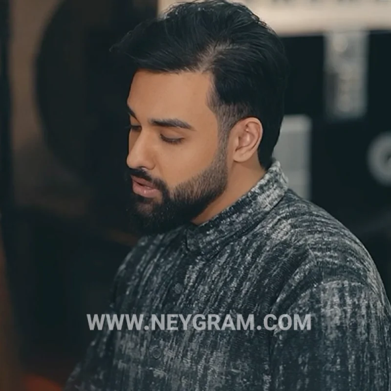 سهیل مهرزادگان + بیکلام