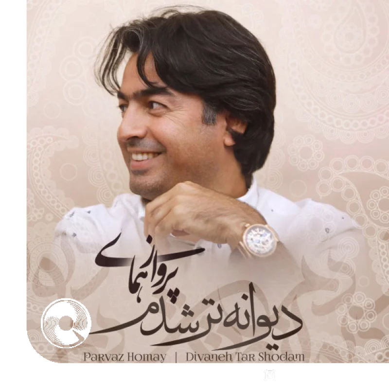 دیوانه تر شدم + بیکلام