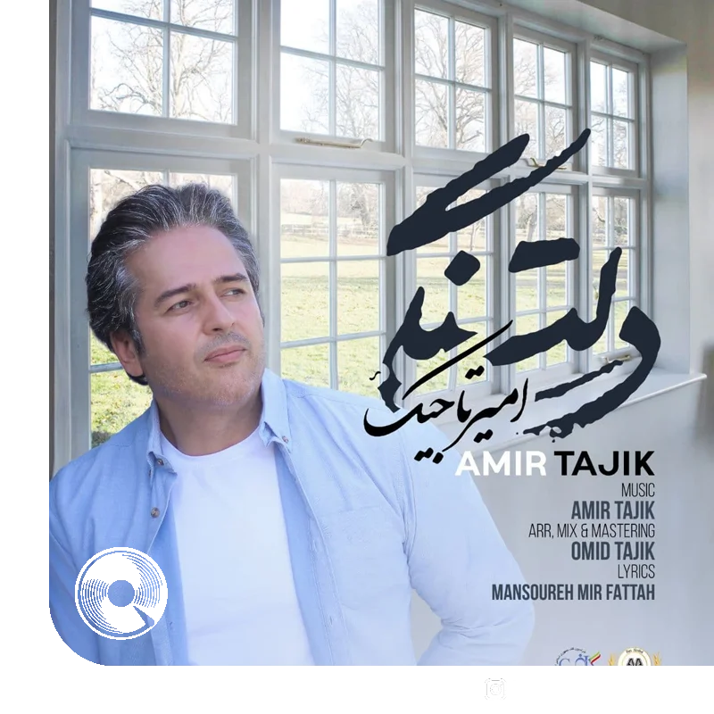 دلتنگی + بیکلام