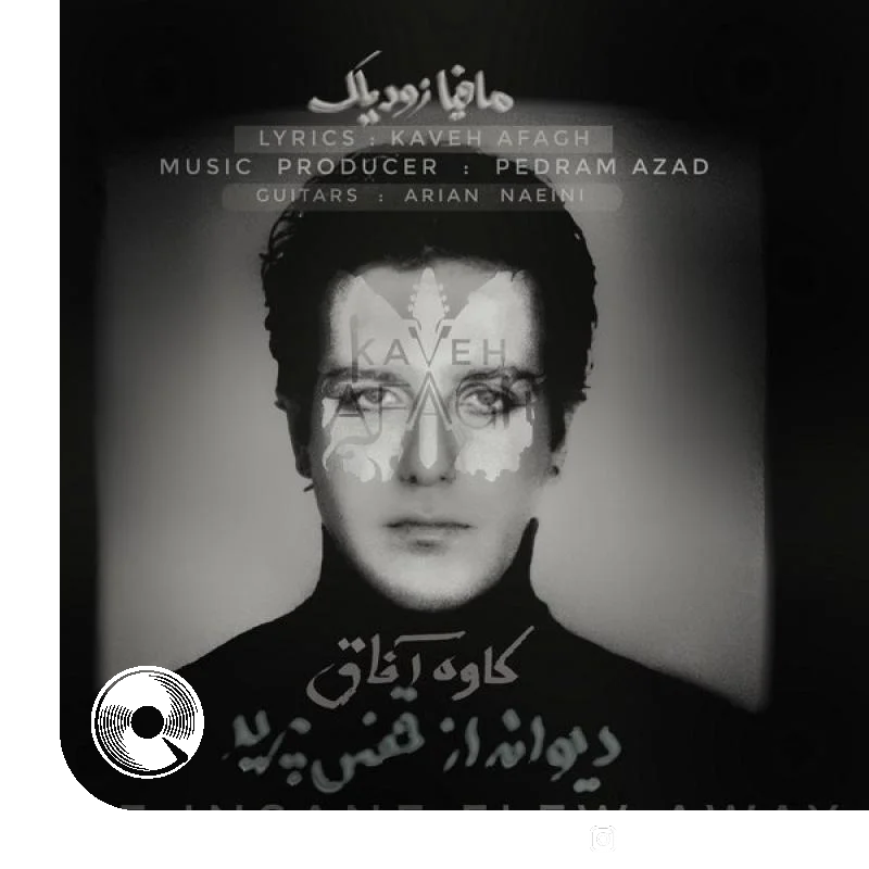 دیوانه از قفس پرید + بیکلام