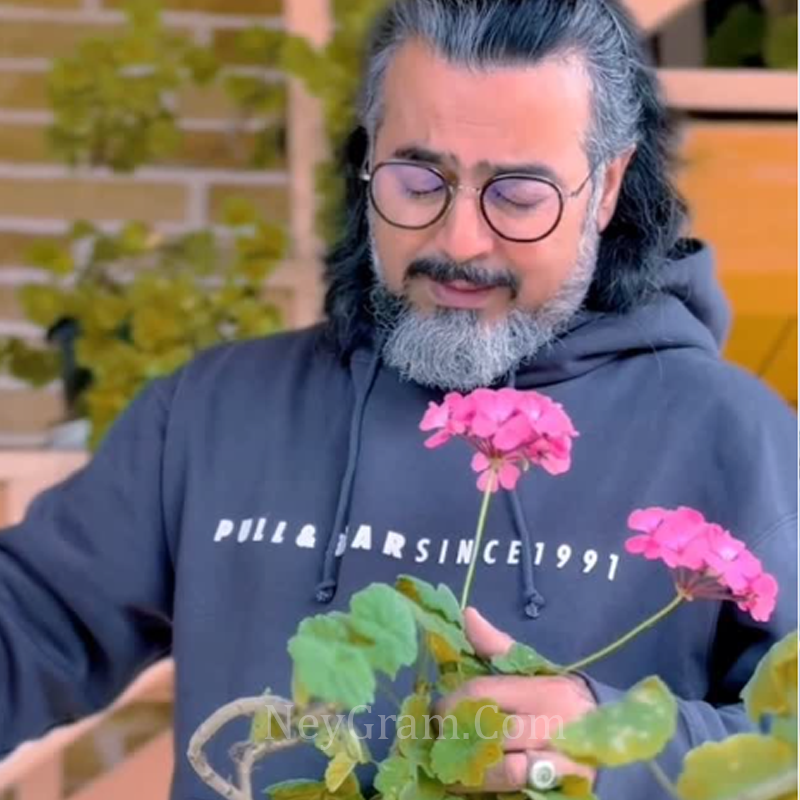 پرواز همای