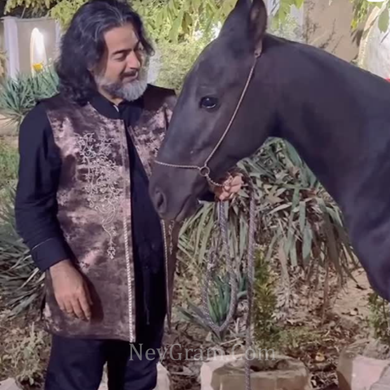 پرواز همای