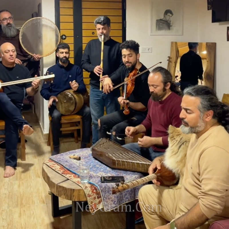 پرواز همای